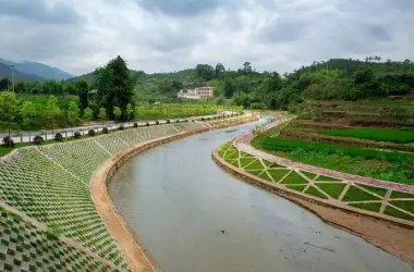 Municipal Landscaping Plan