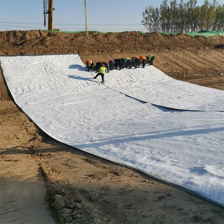 Geosynthetic Clay Liner