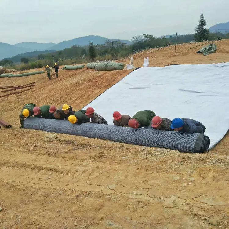 Geosynthetic Clay Liner