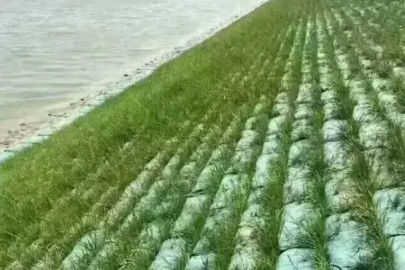 Slope Stabilization Plan