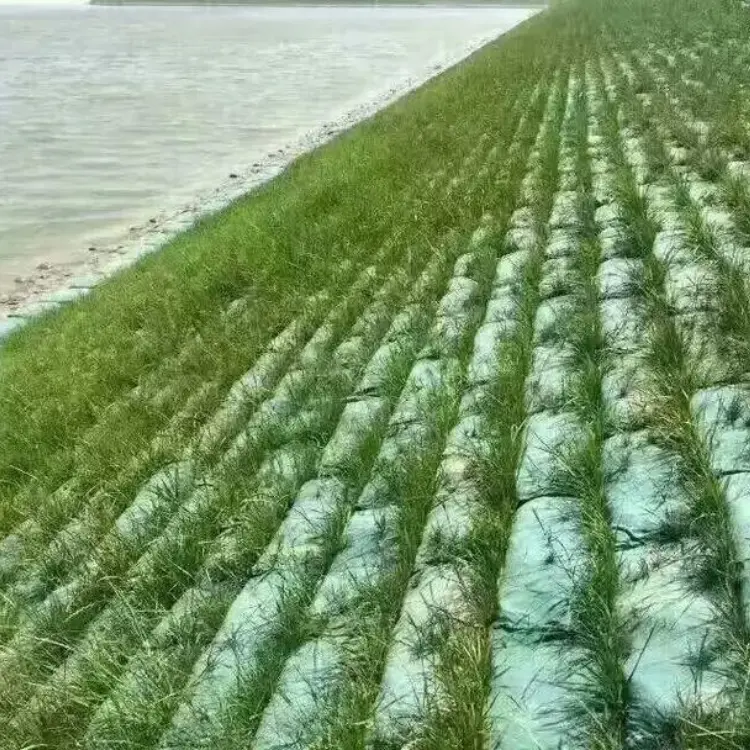 vegetated retaining wall