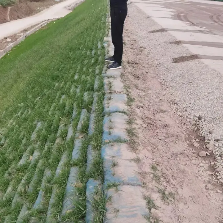 Vegetated Retaining Walls